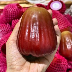 Mận MST Xuất Khẩu – Lợi Nhuận 22% – (24 Tiếng)