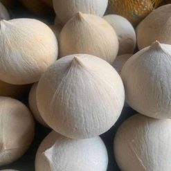 Dừa Xiêm – Lợi Nhuận 14% – (6 Tiếng)