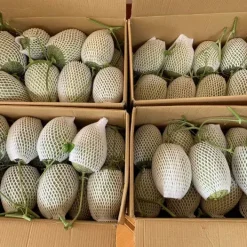 Dưa Lưới Loại 1 – Lợi Nhuận 22% – (24 Tiếng)